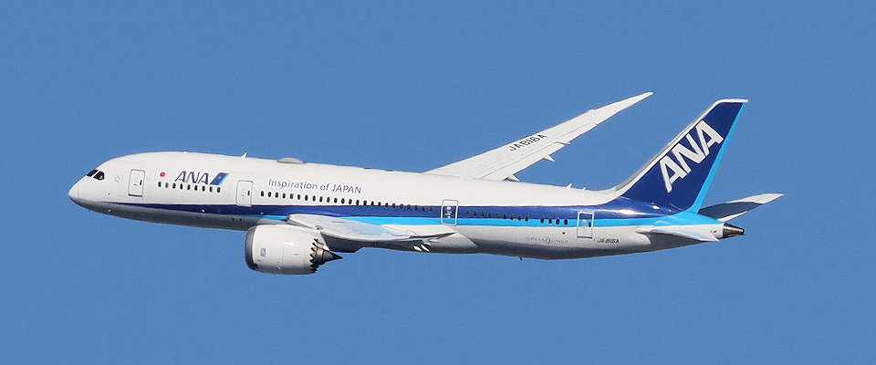 ANA B787-8
