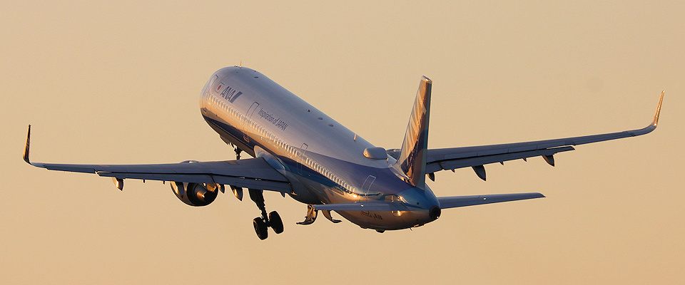 ANA B767-300ER