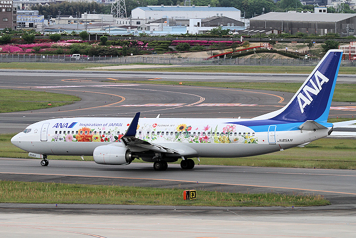 東北FLOWER JET ANA(全日空) B737-800 JA85AN