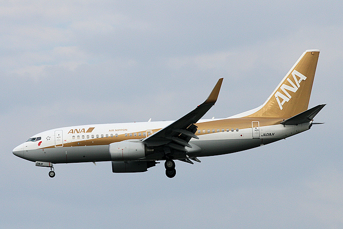 登録記号（レジ） JA01AN 飛行機写真