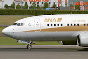 ゴールドジェット　ANA B737-700 JA01AN