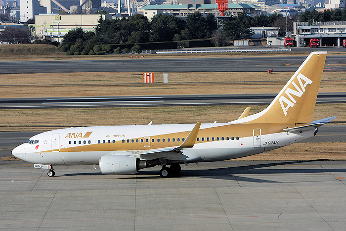 登録記号（レジ） JA02AN 飛行機写真
