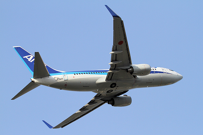 登録記号（レジ） JA11AN 飛行機写真
