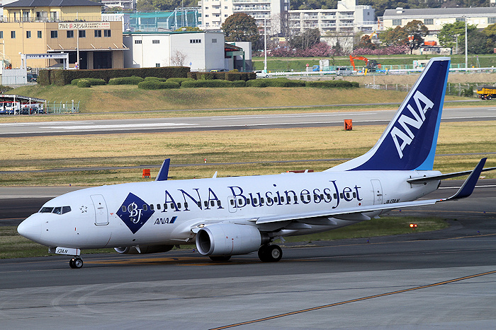 登録記号（レジ） JA13AN 飛行機写真