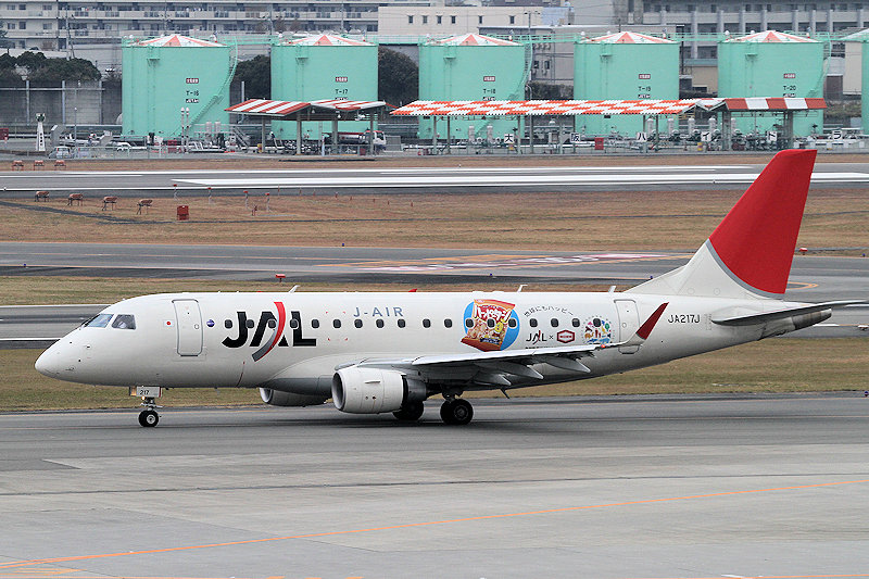 登録記号（レジ） JA217J 飛行機写真