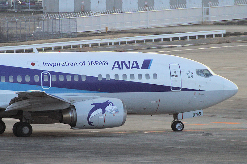 登録記号（レジ） JA305K 飛行機写真