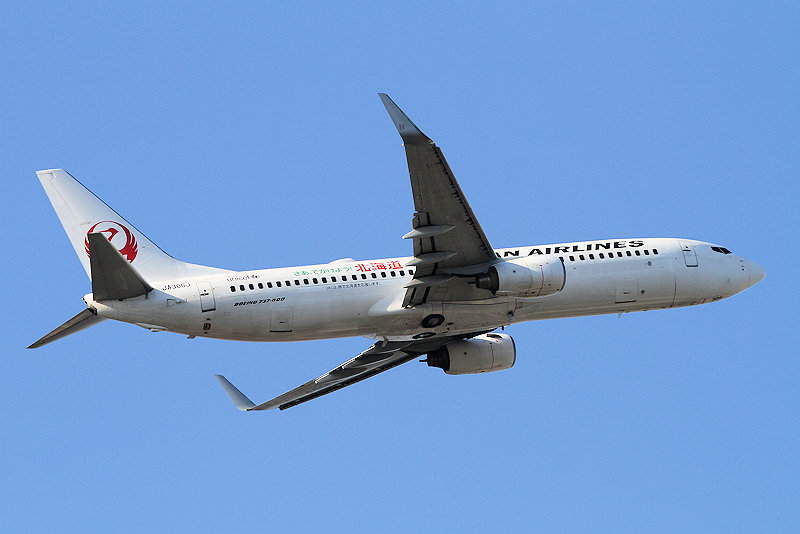 登録記号（レジ） JA306J 飛行機写真