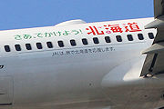 さあ、でかけよう！北海道 JAL（日本航空） B737-800 JA306J