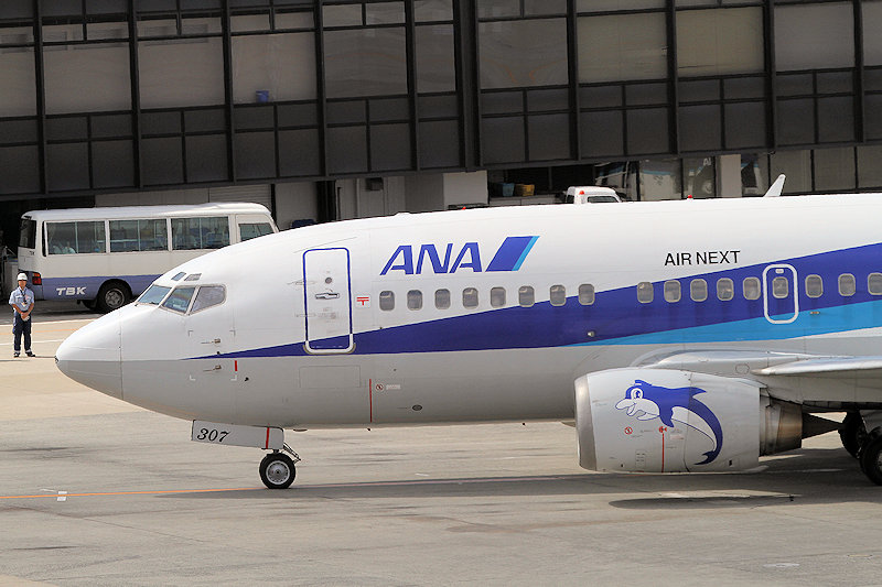 登録記号（レジ） JA307K 飛行機写真