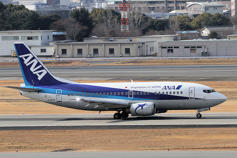 登録記号（レジ） JA307K 飛行機写真