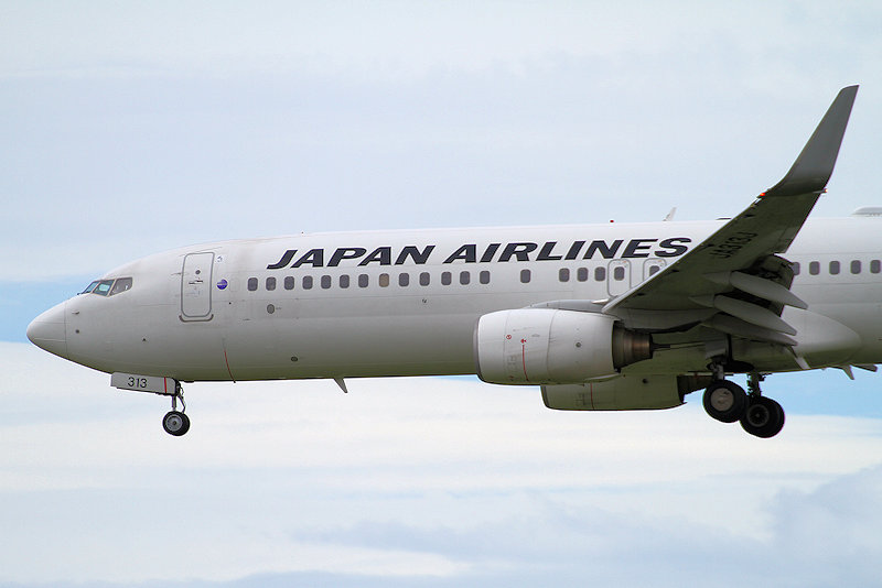 登録記号（レジ） JA313J 飛行機写真