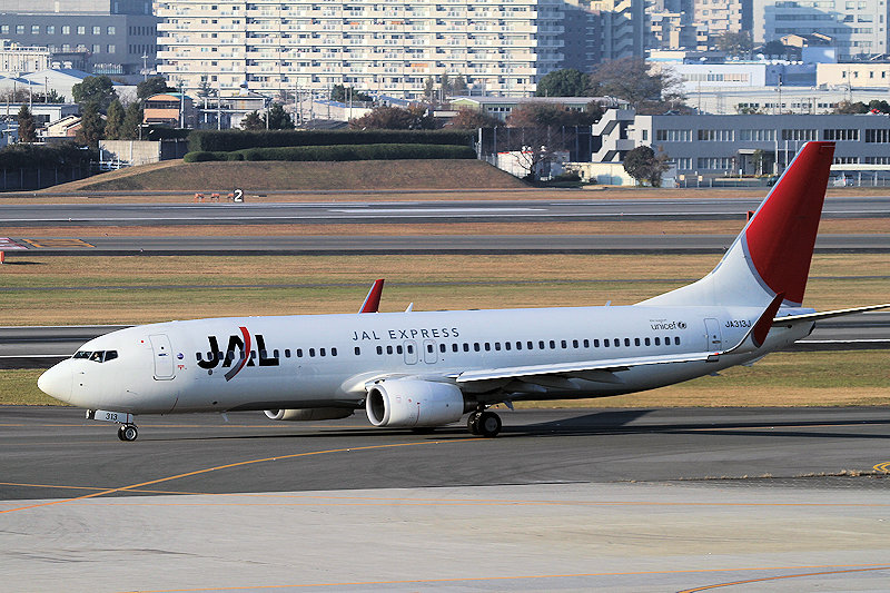 登録記号（レジ） JA313J 飛行機写真
