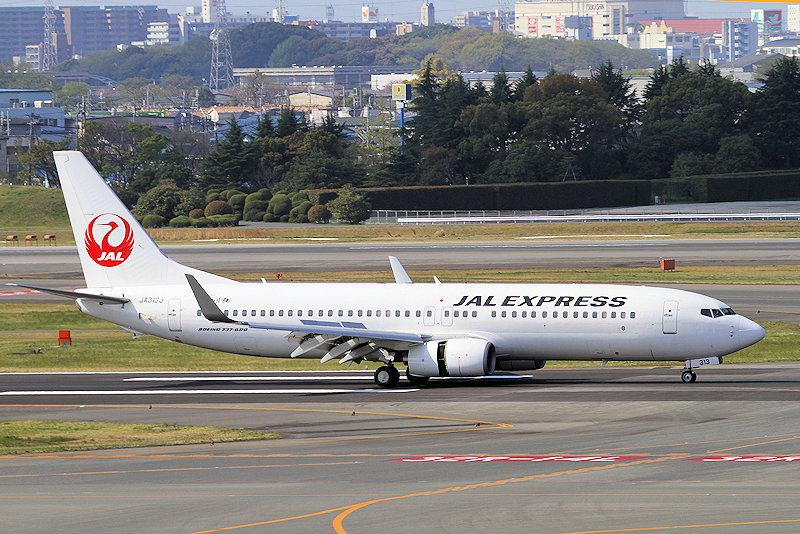 登録記号（レジ） JA313J 飛行機写真