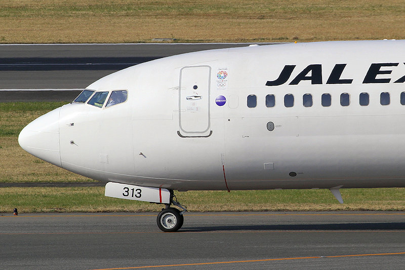 登録記号（レジ） JA313J 飛行機写真