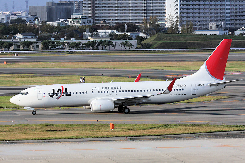 登録記号（レジ） JA316J 飛行機写真