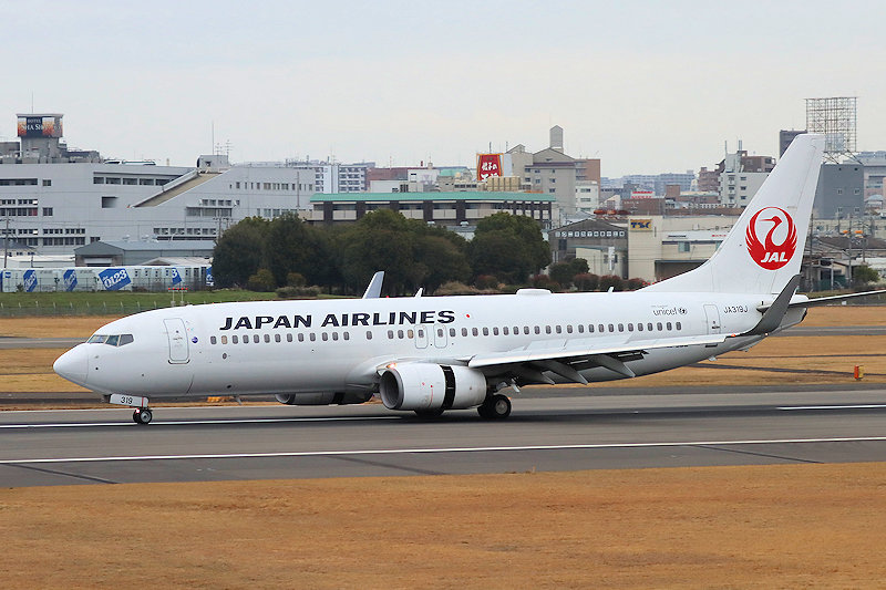 登録記号（レジ） JA319J 飛行機写真