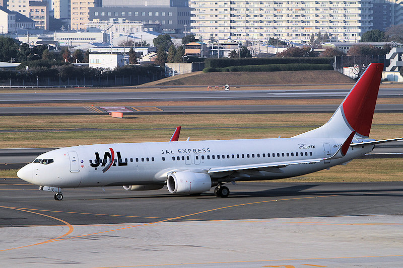 登録記号（レジ） JA319J 飛行機写真