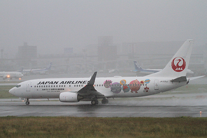 登録記号（レジ） JA329J 飛行機写真