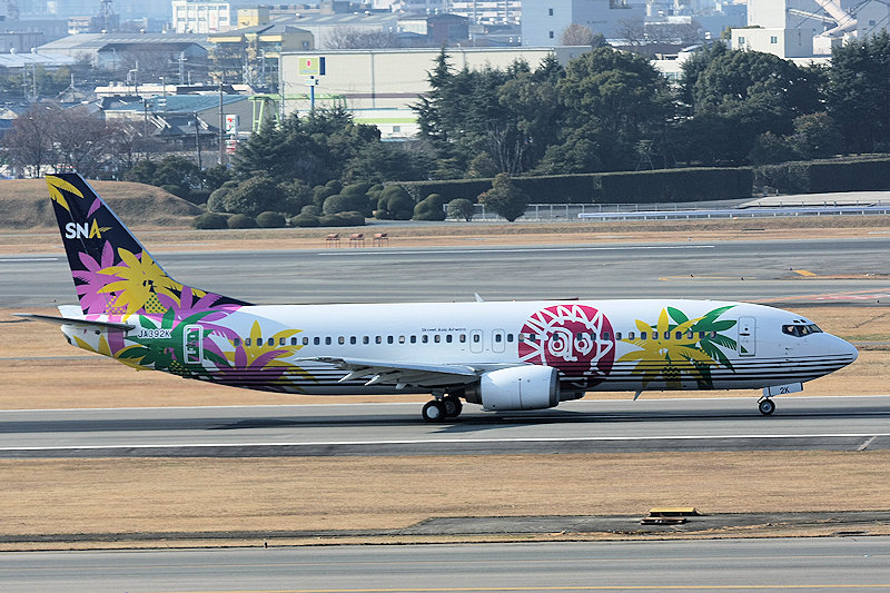 登録記号（レジ） JA392K 飛行機写真