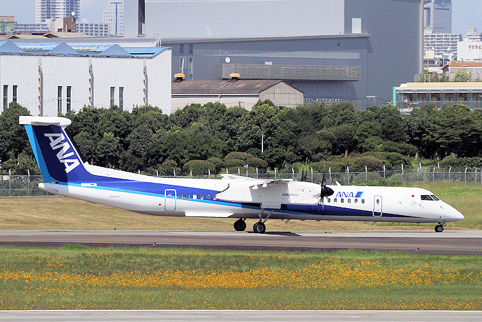 ANAウイングス創立10周年 ANA（全日空） DHC-8-Q400 JA46A