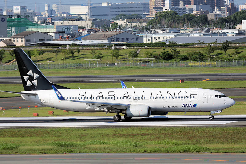 登録記号（レジ） JA51AN 飛行機写真