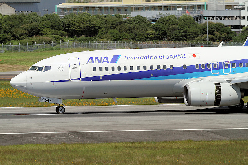 登録記号（レジ） JA53AN 飛行機写真