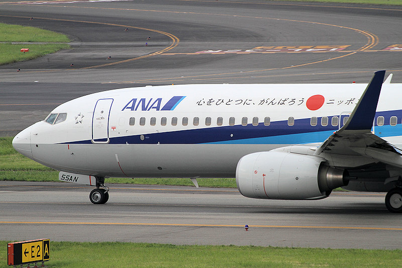 登録記号（レジ） JA55AN 飛行機写真