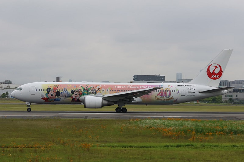 登録記号（レジ） JA614J 飛行機写真
