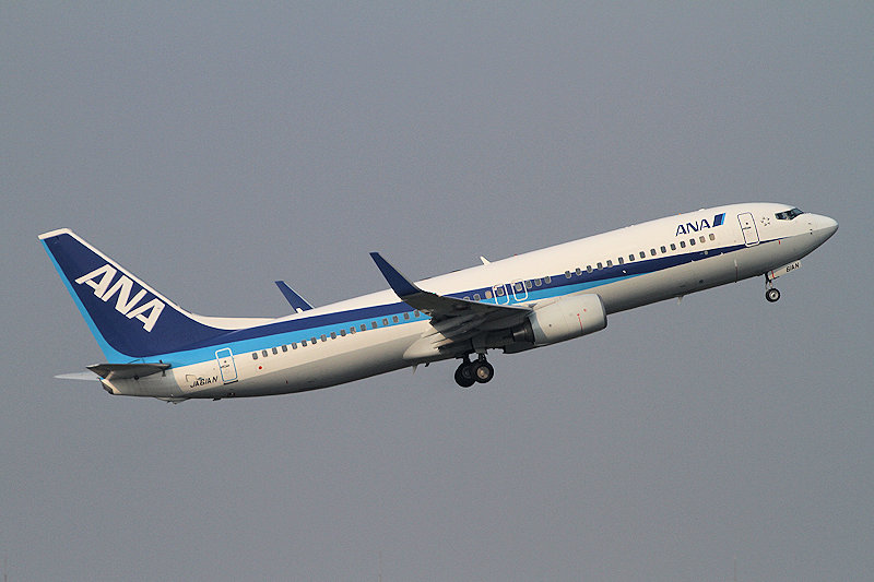 登録記号（レジ） JA61AN 飛行機写真