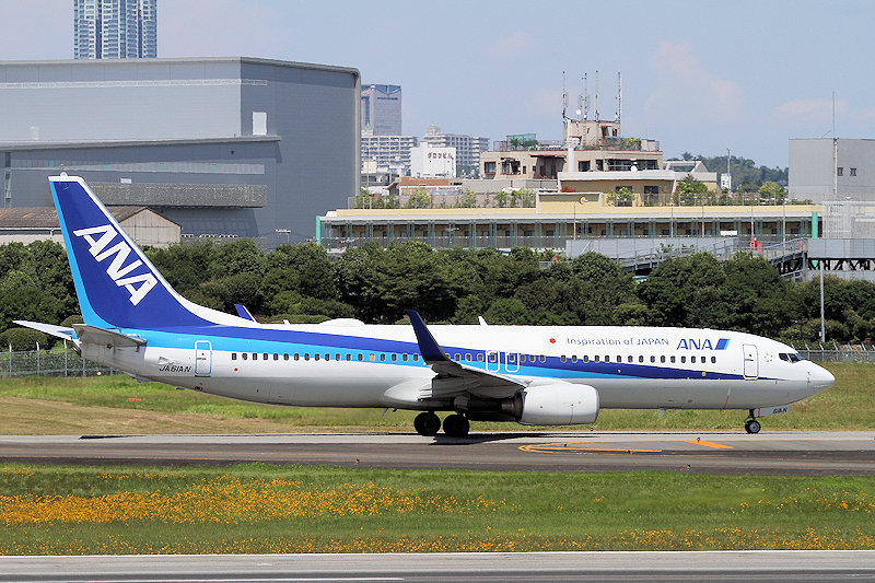 登録記号（レジ） JA61AN 飛行機写真