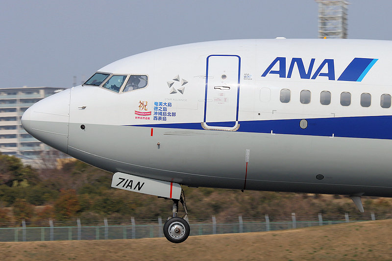 登録記号（レジ） J71AN 飛行機写真