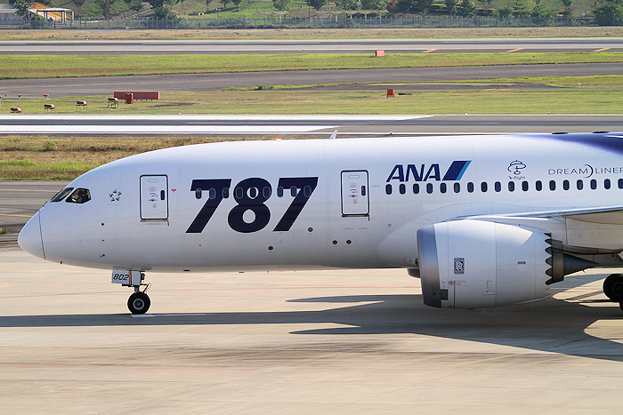 初就航特別塗装 ANA(全日空) B787-8 JA802A
