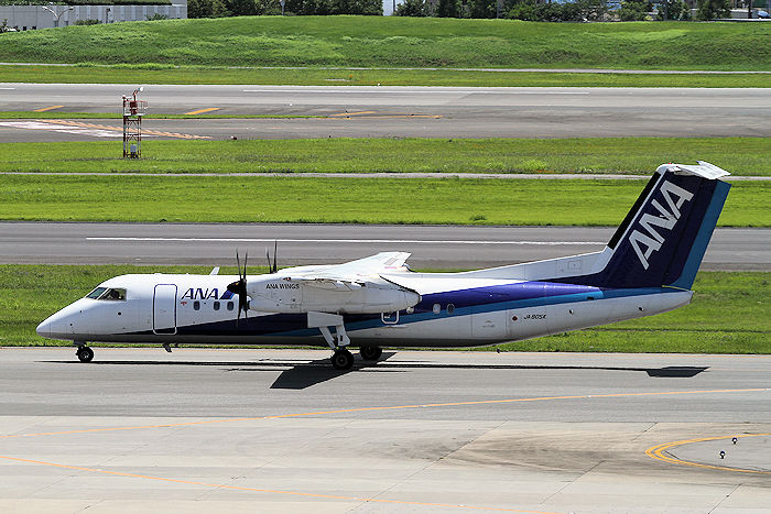 ANA（全日空） DHC-8-300 JA805K