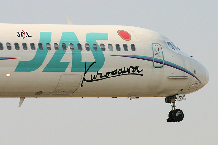 黒澤塗装 2号機 JAS（日本エアシステム） MD-90 JA8065