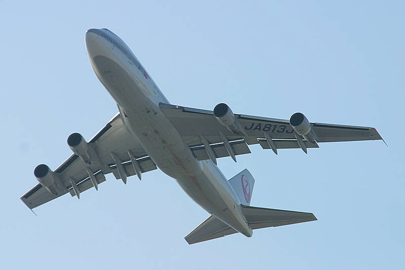 登録記号（レジ） JA813J 飛行機写真