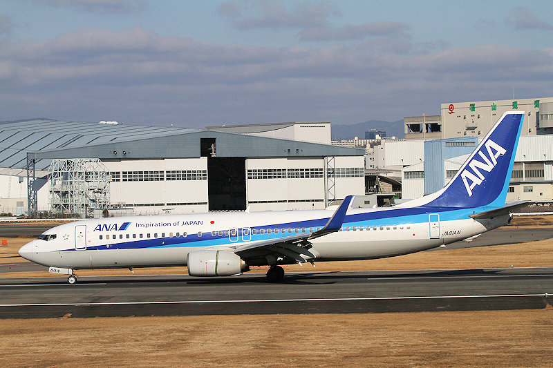 登録記号（レジ） JA81AN 飛行機写真