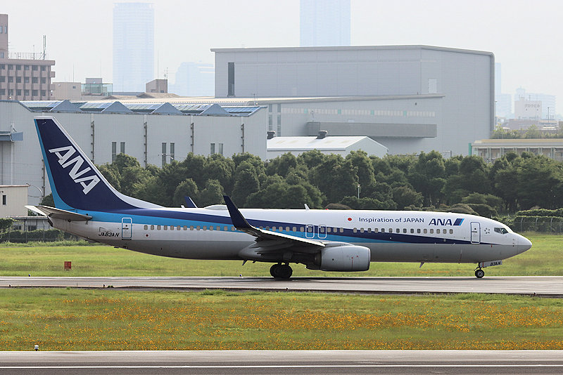 登録記号（レジ） JA83AN 飛行機写真