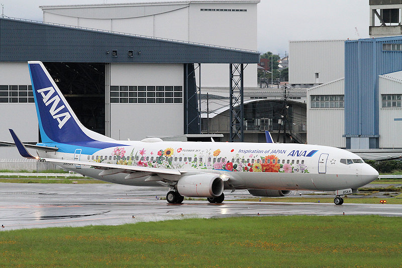 登録記号（レジ） JA85AN 飛行機写真