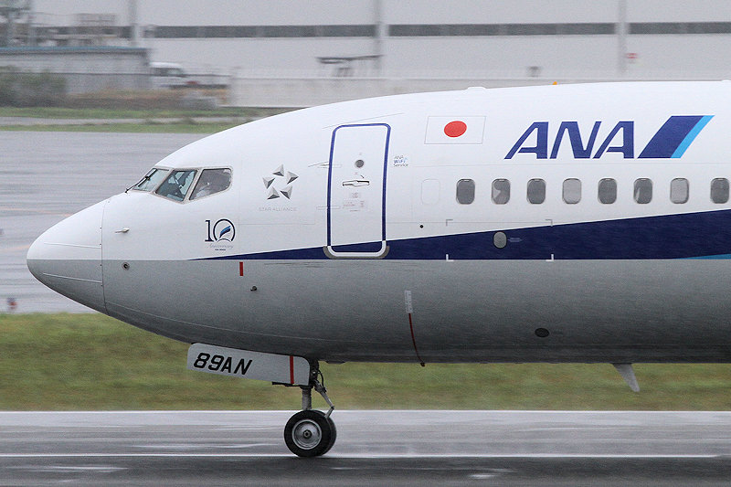 登録記号（レジ） JA89AN 飛行機写真