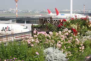 大阪伊丹空港 花と緑の庭園